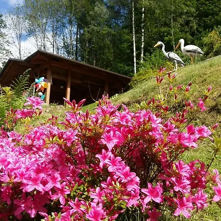Appartamento La Casa Alta